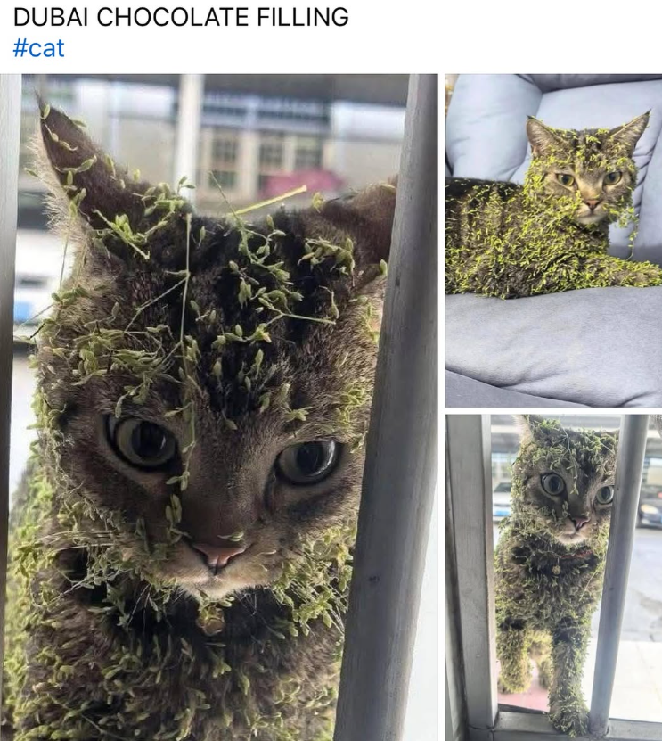 DUBAI CHOCOLATE FILLING #cat