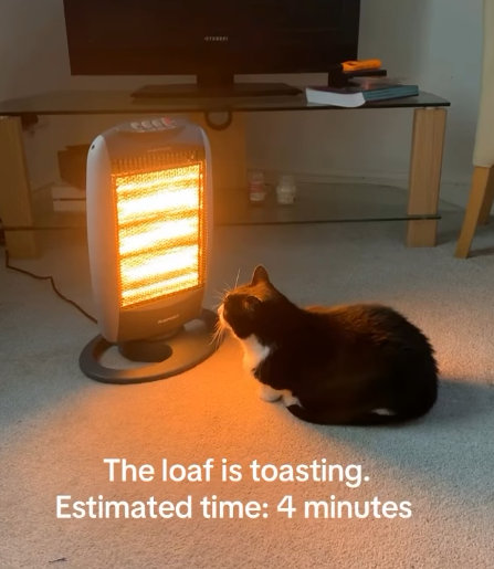 The loaf is toasting. Estimated time: 4 minutes