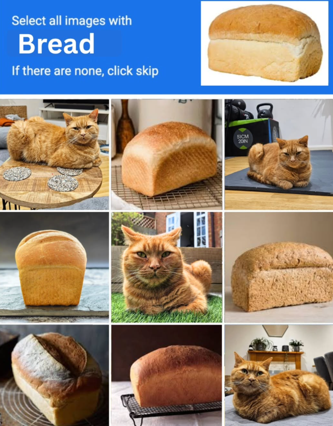 Select all images with Bread If there are none, click skip 51CM 20IN