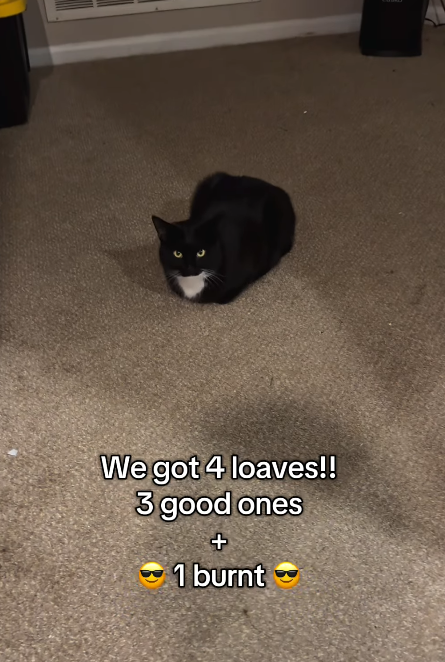 We got 4 loaves!! 3 good ones + 1 burnt