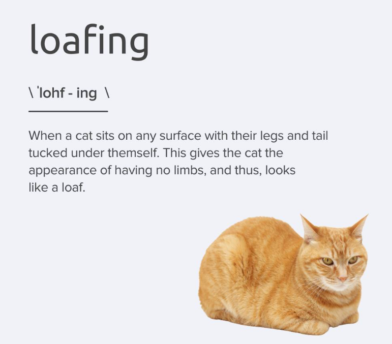 loafing \'lohf-ing\ When a cat sits on any surface with their legs and tail tucked under themself. This gives the cat the appearance of having no limbs, and thus, looks like a loaf.