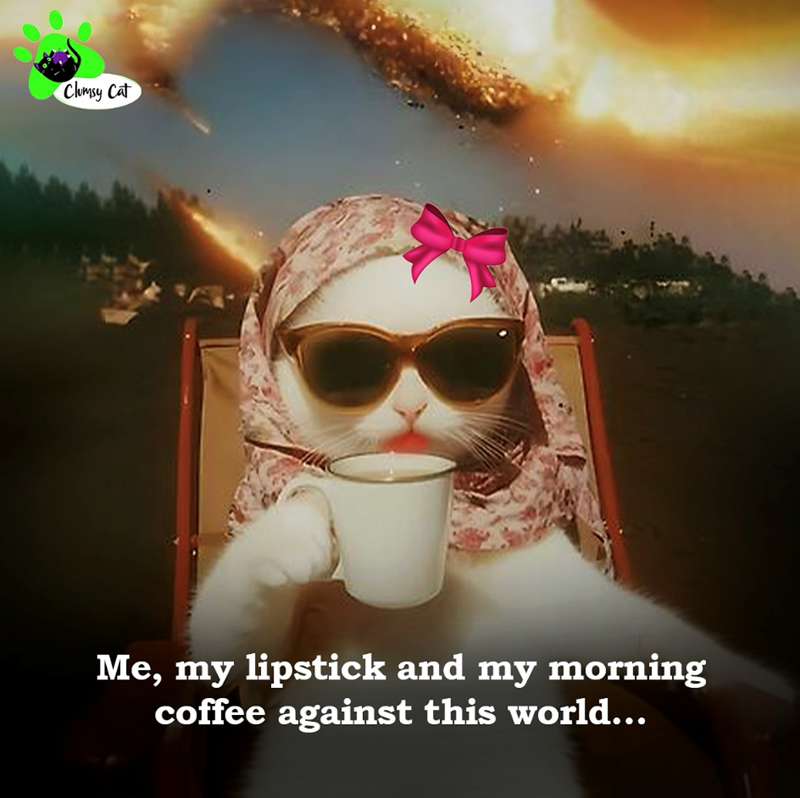 Clumsy Cat Me, my lipstick and my morning coffee against this world...