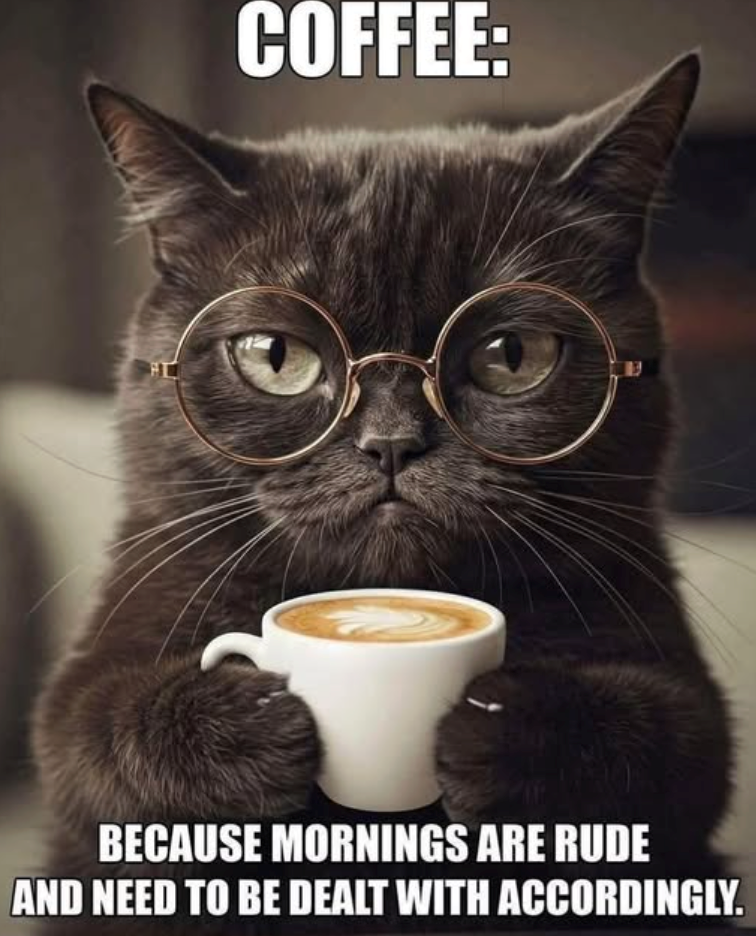 COFFEE: BECAUSE MORNINGS ARE RUDE AND NEED TO BE DEALT WITH ACCORDINGLY.