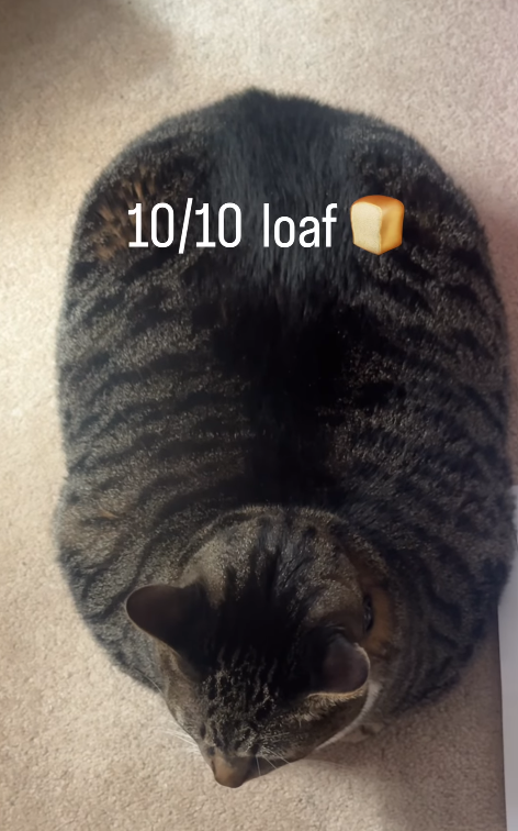 10/10 loaf