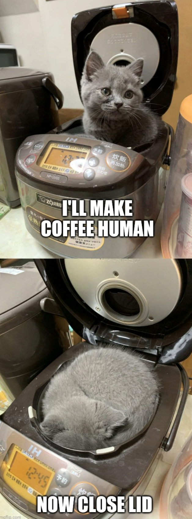 206 けてください L IH 予約 炊飯 800 SK RID NP-GVOS 合わせ PADORA ZOJIRU I'LL MAKE COFFEE HUMAN 健康米メニュー 抜ける 炭火で炊 IH EX RECO B ク 予約 (NEWFL) NOW CLOSE LID 12:45 おかゆ 玄米 米 金芽米パン maflip.com