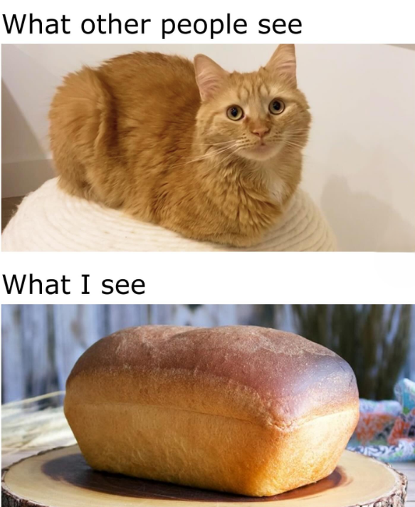 What other people see What I see