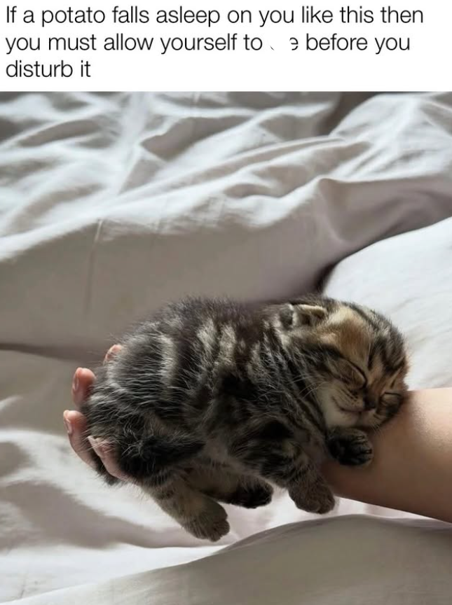 If a potato falls asleep on you like this then you must allow yourself toe before you disturb it
