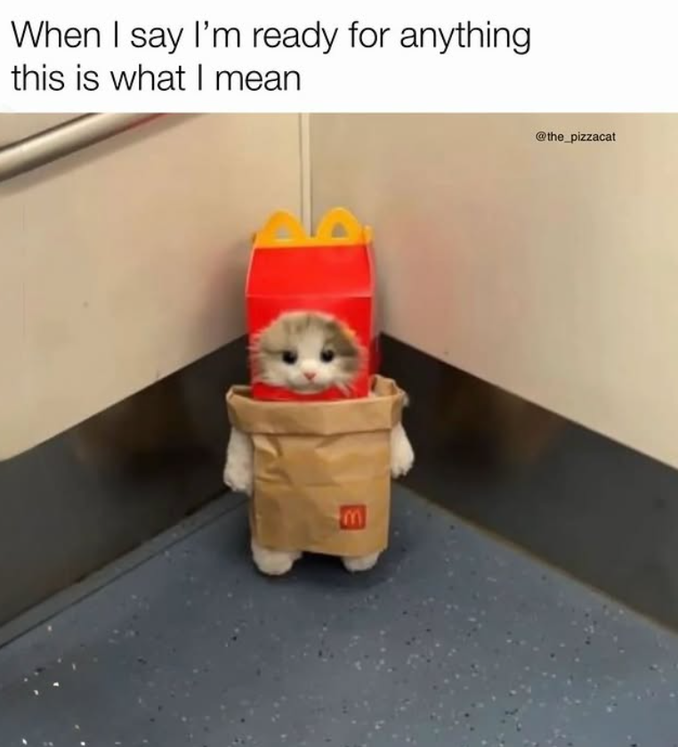 When I say I'm ready for anything this is what I mean @the_pizzacat E