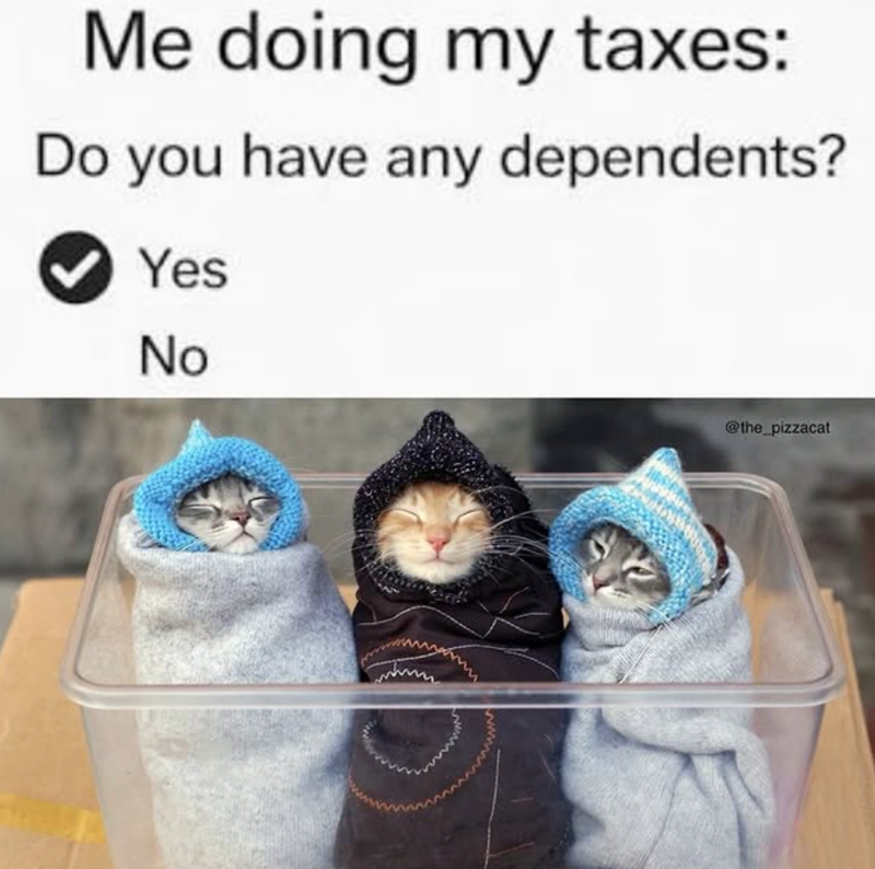 Me doing my taxes: Do you have any dependents? Yes No @the_pizzacat
