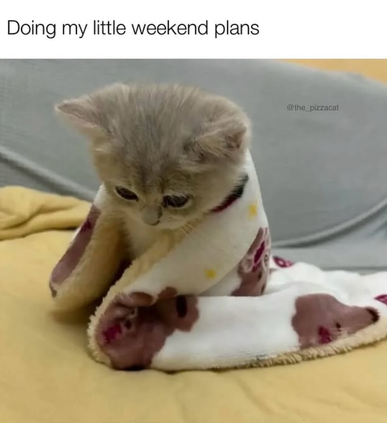 Doing my little weekend plans @the_pizzacat