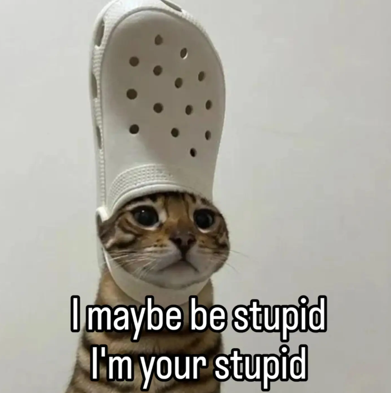 I maybe be stupid I'm your stupid