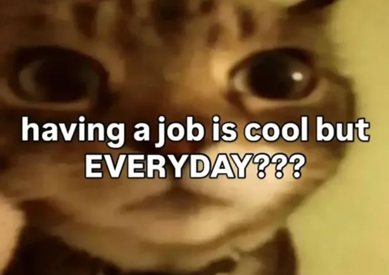 having a job is cool but EVERYDAY???