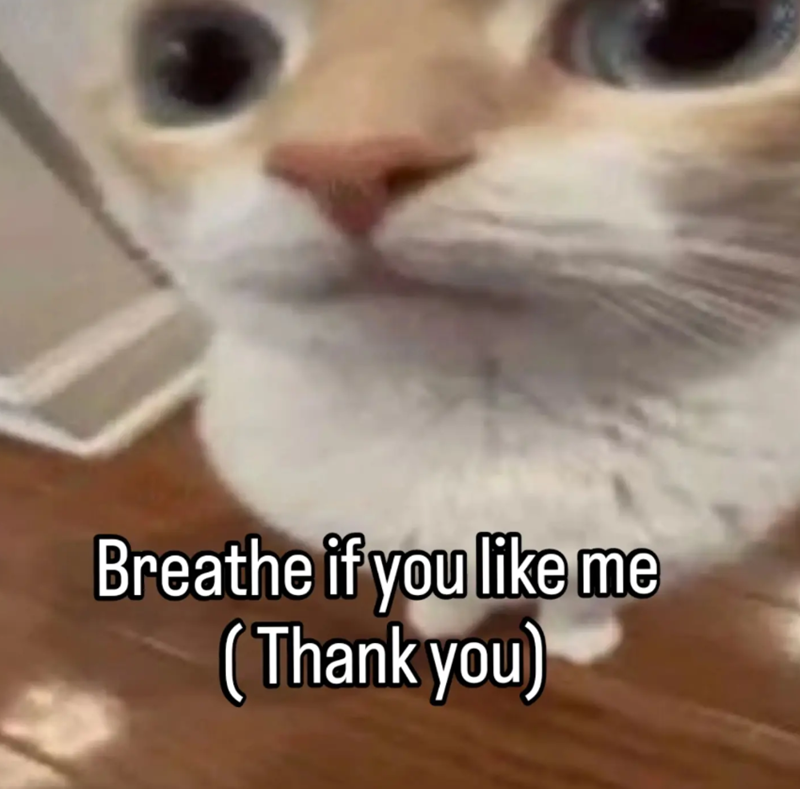 Breathe if you like me (Thank you)