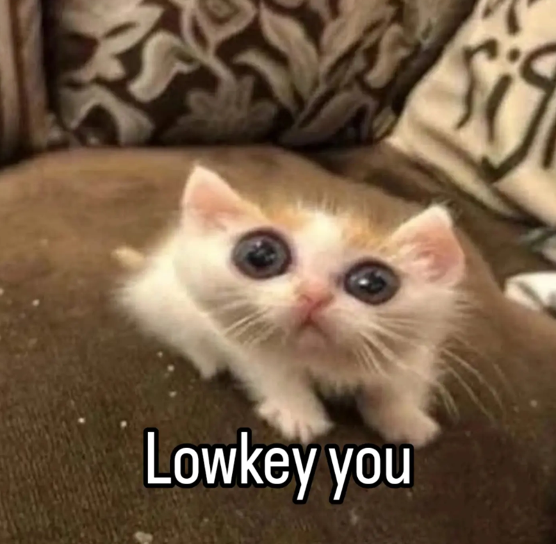 Lowkey you