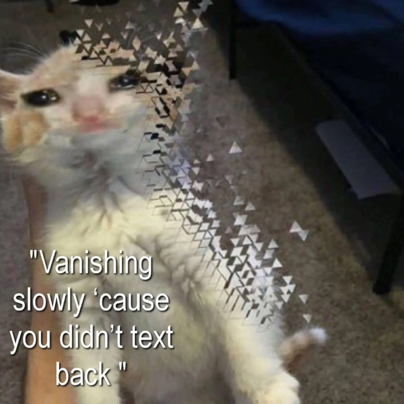 "Vanishing slowly 'cause you didn't text back"