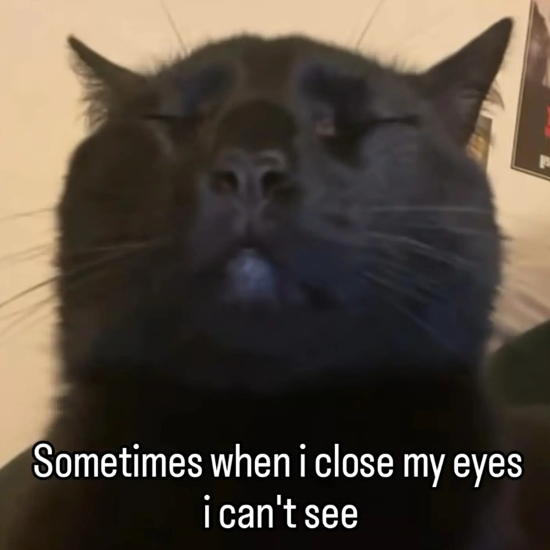 Sometimes when i close my eyes i can't see
