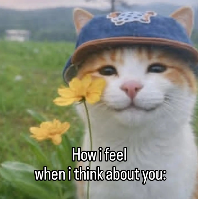How i feel when i think about you: