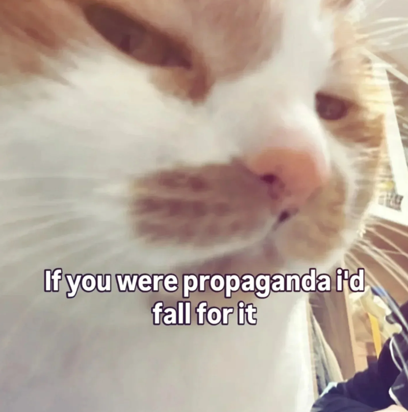 If you were propaganda i'd fall for it