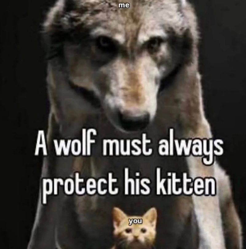 me A wolf must always protect his kitten you
