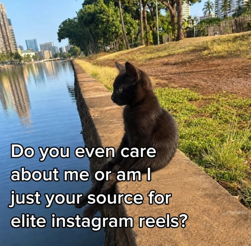 Do you even care about me or am I just your source for elite instagram reels? heyitsrain