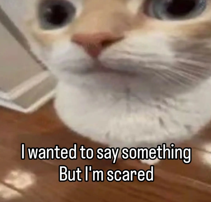 I wanted to say something But I'm scared