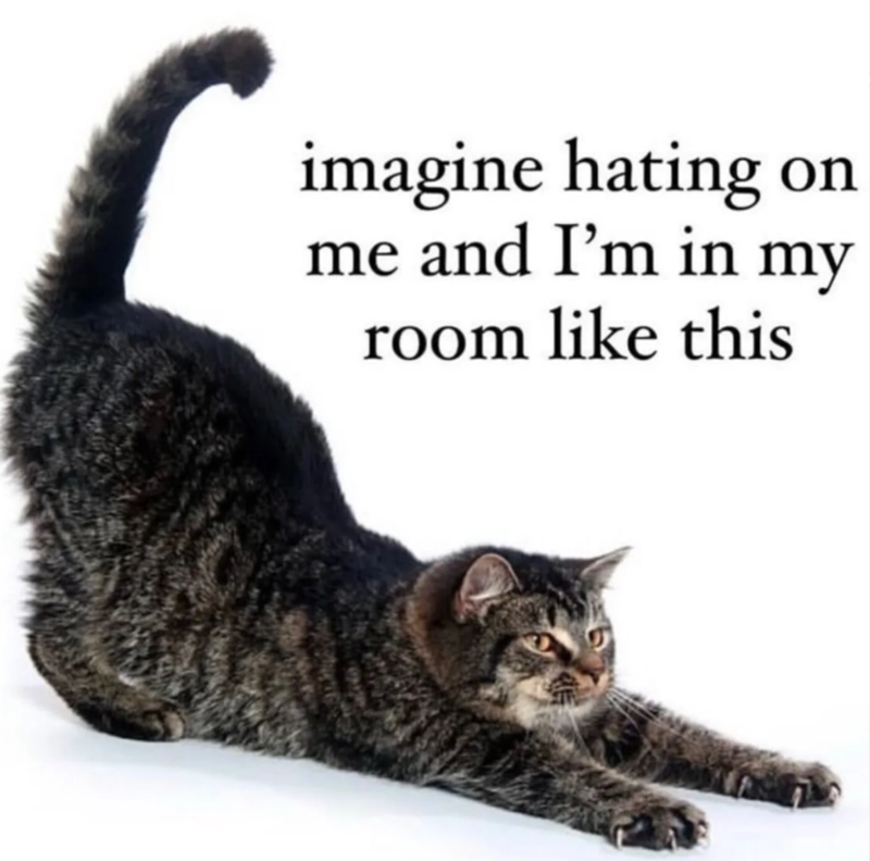 imagine hating on me and I'm in my room like this