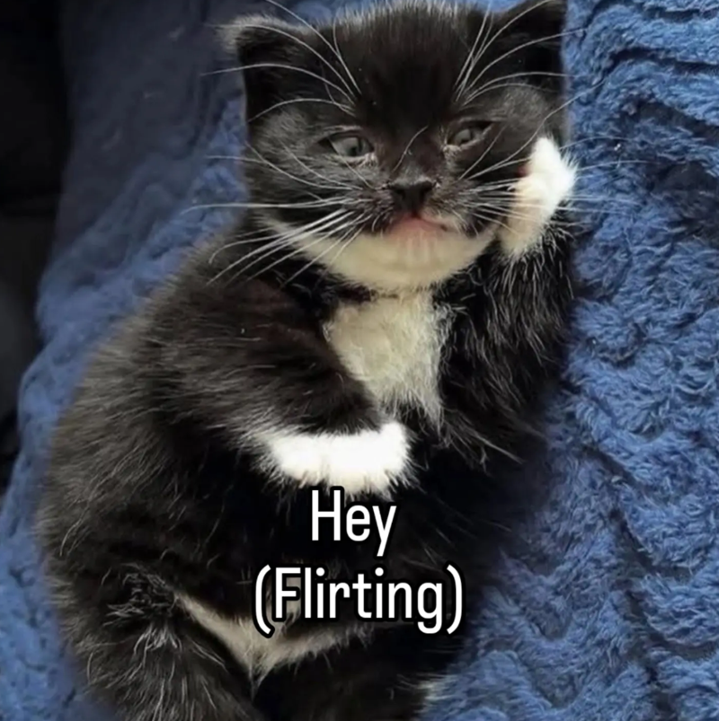 Hey (Flirting)