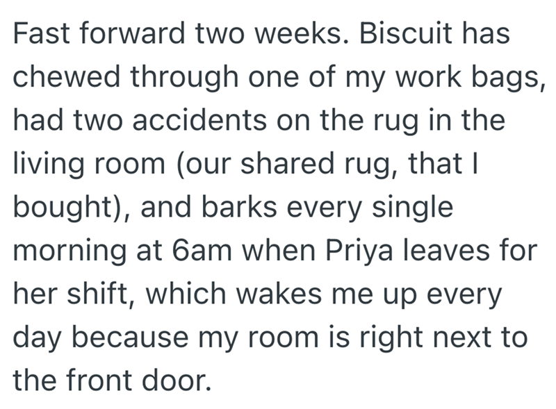 Fast forward two weeks. Biscuit has chewed through one of my work bags, had two accidents on the rug in the living room (our shared rug, that I bought), and barks every single morning at 6am when Priya leaves for her shift, which wakes me up every day because my room is right next to the front door.