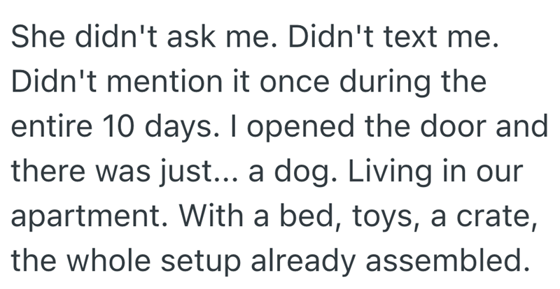 She didn't ask me. Didn't text me. Didn't mention it once during the entire 10 days. I opened the door and there was just... a dog. Living in our apartment. With a bed, toys, a crate, the whole setup already assembled.