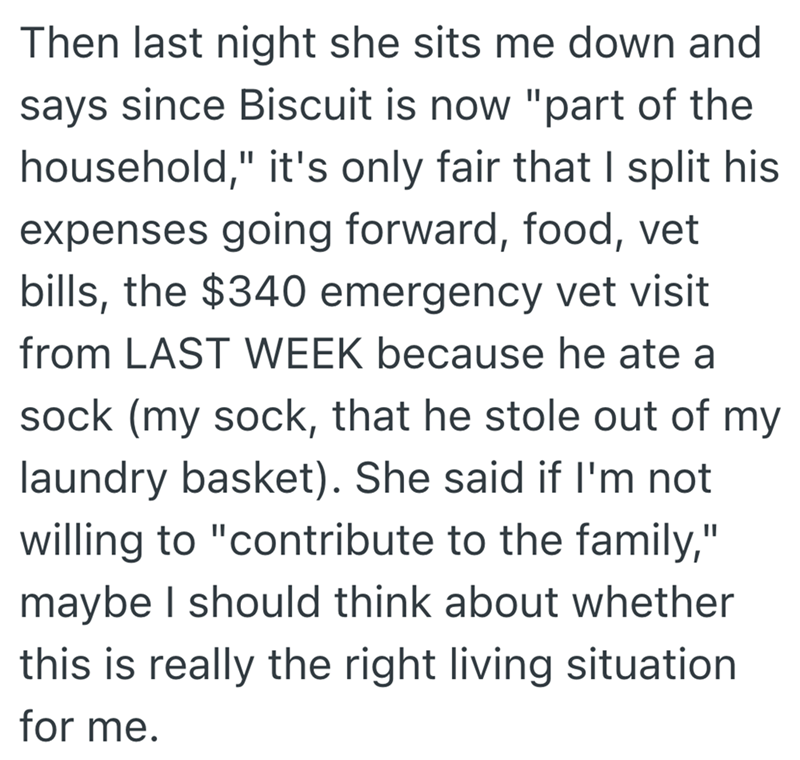 Then last night she sits me down and says since Biscuit is now "part of the household," it's only fair that I split his expenses going forward, food, vet bills, the $340 emergency vet visit from LAST WEEK because he ate a sock (my sock, that he stole out of my laundry basket). She said if I'm not willing to "contribute to the family," maybe I should think about whether this is really the right living situation for me.