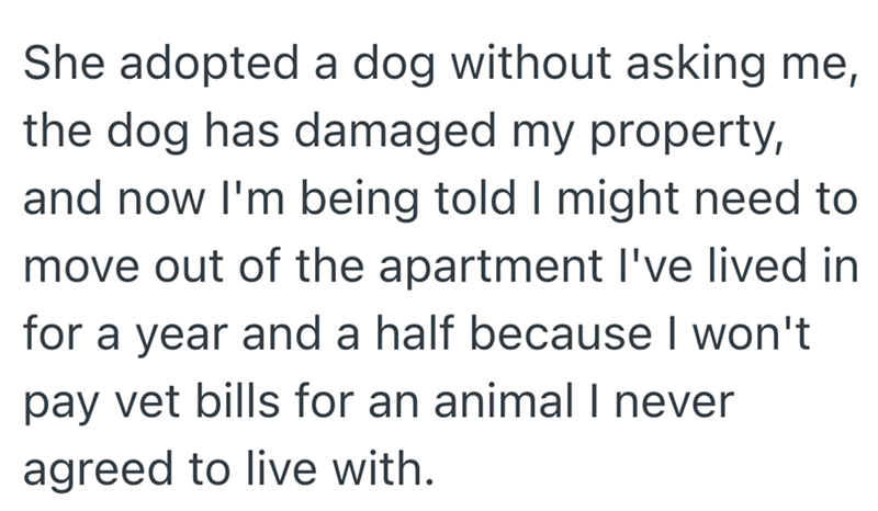 She adopted a dog without asking me, the dog has damaged my property, and now I'm being told I might need to move out of the apartment I've lived in for a year and a half because I won't pay vet bills for an animal I never agreed to live with.