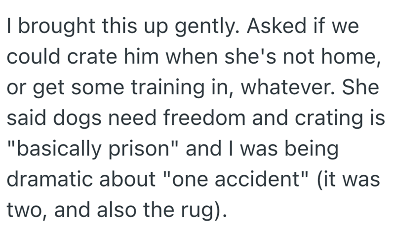 I brought this up gently. Asked if we could crate him when she's not home, or get some training in, whatever. She said dogs need freedom and crating is "basically prison" and I was being dramatic about "one accident" (it was two, and also the rug).