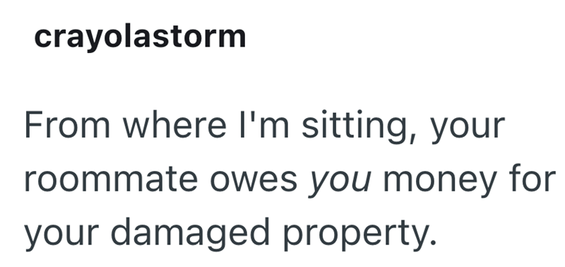 crayolastorm From where I'm sitting, your roommate owes you money for your damaged property.