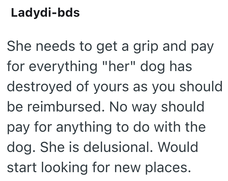 Ladydi-bds She needs to get a grip and pay for everything "her" dog has destroyed of yours as you should be reimbursed. No way should pay for anything to do with the dog. She is delusional. Would start looking for new places.