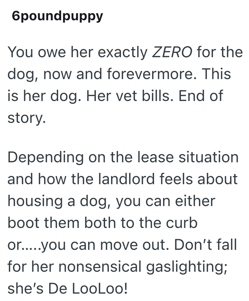 6poundpuppy You owe her exactly ZERO for the dog, now and forevermore. This is her dog. Her vet bills. End of story. Depending on the lease situation and how the landlord feels about housing a dog, you can either boot them both to the curb or.....you can move out. Don't fall for her nonsensical gaslighting; she's De LooLoo!