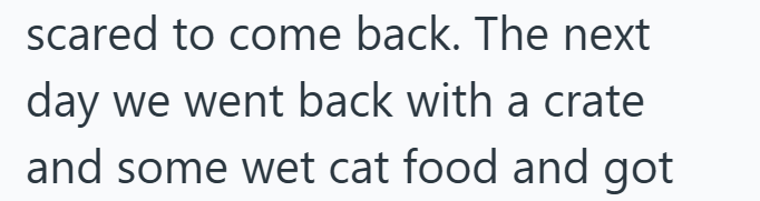 scared to come back. The next day we went back with a crate and some wet cat food and got
