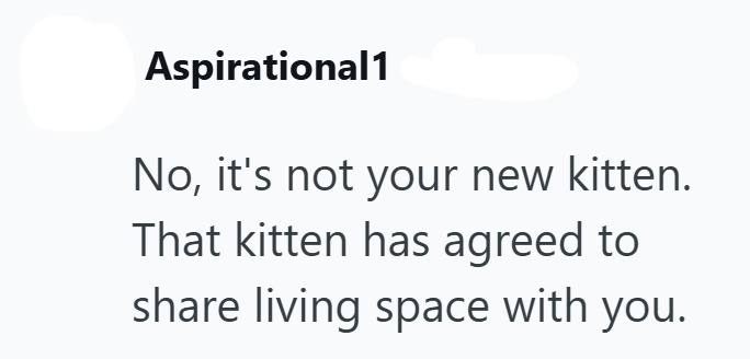 Aspirational1 No, it's not your new kitten. That kitten has agreed to share living space with you.