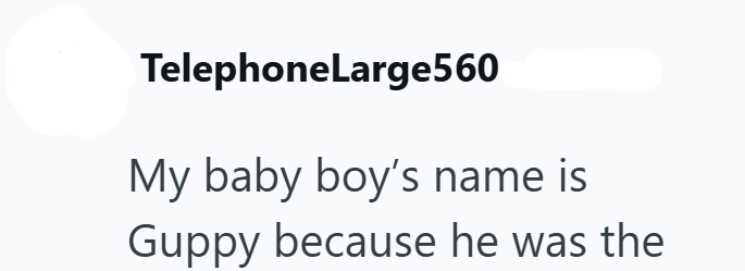 TelephoneLarge560 My baby boy's name is Guppy because he was the