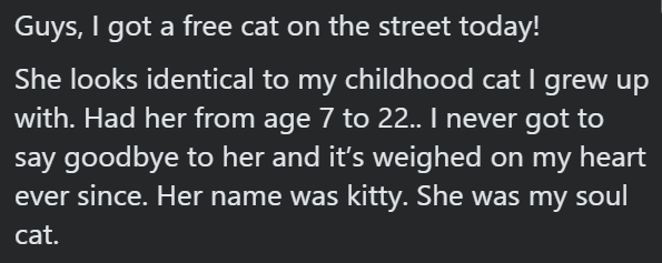 Guys, I got a free cat on the street today! She looks identical to my childhood cat I grew up with. Had her from age 7 to 22.. I never got to say goodbye to her and it's weighed on my heart ever since. Her name was kitty. She was my soul cat.