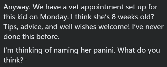 Anyway. We have a vet appointment set up for this kid on Monday. I think she's 8 weeks old? Tips, advice, and well wishes welcome! I've never done this before. I'm thinking of naming her panini. What do you think?