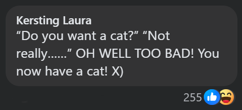 Kersting Laura "Do you want a cat?" "Not really......" OH WELL TOO BAD! You now have a cat! X) 255