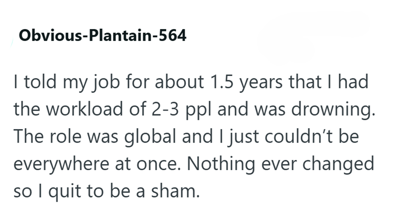 Obvious-Plantain-564 I told my job for about 1.5 years that I had the workload of 2-3 ppl and was drowning. The role was global and I just couldn't be everywhere at once. Nothing ever changed so I quit to be a sham.