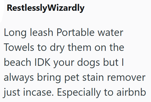 RestlesslyWizardly Long leash Portable water Towels to dry them on the beach IDK your dogs but I always bring pet stain remover just incase. Especially to airbnb