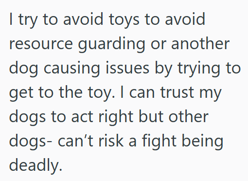 I try to avoid toys to avoid resource guarding or another dog causing issues by trying to get to the toy. I can trust my dogs to act right but other dogs- can't risk a fight being deadly.