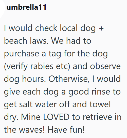 umbrella11 I would check local dog + beach laws. We had to purchase a tag for the dog (verify rabies etc) and observe dog hours. Otherwise, I would give each dog a good rinse to get salt water off and towel dry. Mine LOVED to retrieve in the waves! Have fun!