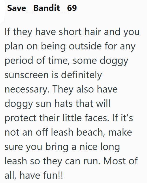 Save_Bandit_69 If they have short hair and you plan on being outside for any period of time, some doggy sunscreen is definitely necessary. They also have doggy sun hats that will protect their little faces. If it's not an off leash beach, make sure you bring a nice long leash so they can run. Most of all, have fun!!