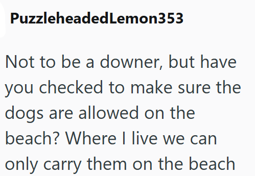 PuzzleheadedLemon353 Not to be a downer, but have you checked to make sure the dogs are allowed on the beach? Where I live we can only carry them on the beach