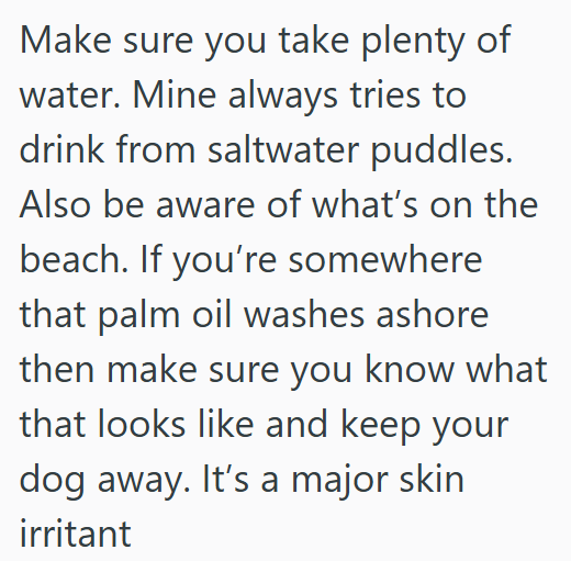 Make sure you take plenty of water. Mine always tries to drink from saltwater puddles. Also be aware of what's on the beach. If you're somewhere that palm oil washes ashore then make sure you know what that looks like and keep your dog away. It's a major skin irritant