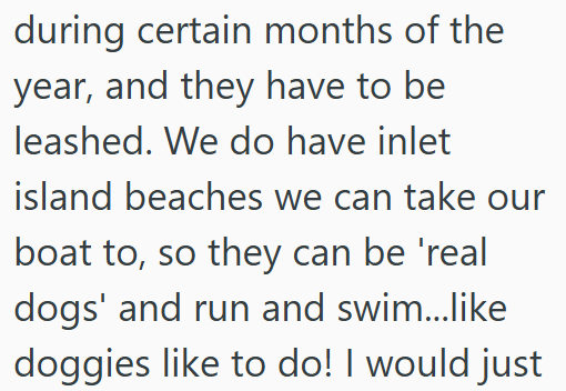 during certain months of the year, and they have to be leashed. We do have inlet island beaches we can take our boat to, so they can be 'real dogs' and run and swim...like doggies like to do! I would just