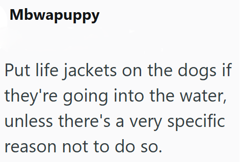 Mbwapuppy Put life jackets on the dogs if they're going into the water, unless there's a very specific reason not to do so.